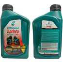 Oleo Lubrificante Motor 20w50 Expert 4t Moto 1l 73090e19br