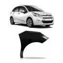 Paralama Citroen C3 13/ Direito Cit0043